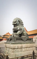A bronze lion statue in Forbidden City