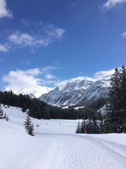 Fototapeta na wymiar Mountains in winter, covered in snow
