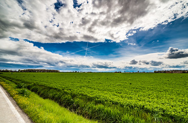 Fototapeta na wymiar Green fields in Romagna
