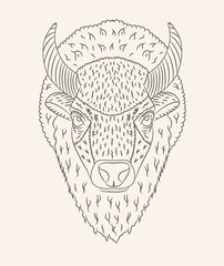 Portrait of bison coloring