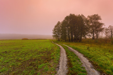 Dirt road in the field. Misty morning in countryside.
