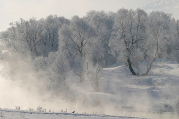 Obraz na płótnie Canvas misty morning on the river Zai