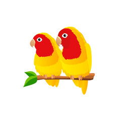Pair of parrots lovebirds on white background