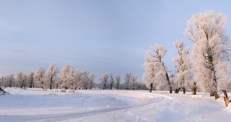 Obraz premium winter day