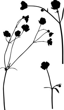 black buttercup silhouettes on white background clip art preview