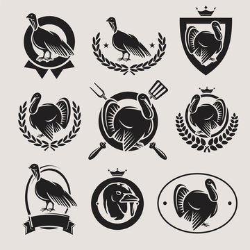 turkey labels and elements set. Vector