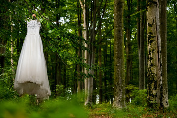Wedding dress hanging in tree
