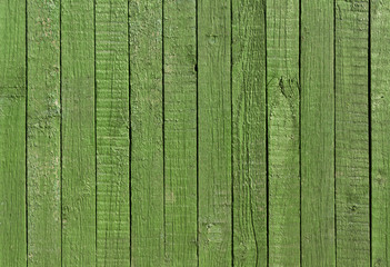 Fototapeta na wymiar Green wooden fence texture.