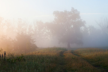 Fototapeta na wymiar Early foggy morning