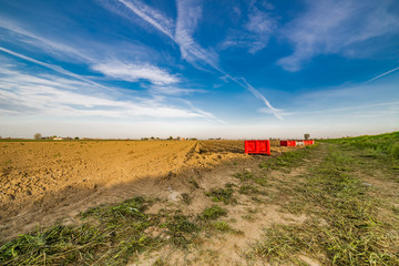 Fototapeta premium plowed potato field after harvest