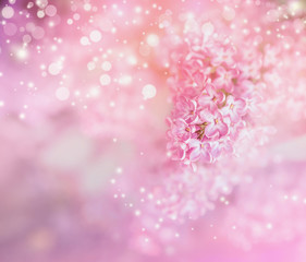 Romantic floral background with lilac flowers and bokeh. Festive greeting card