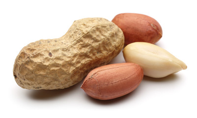 Peanut