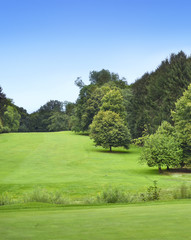 Fototapeta na wymiar Idyllic golf course with forest. Summer landscape, park.