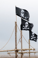 pirate flag