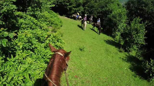 Astride on horse summer