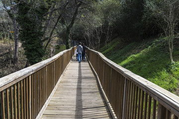 Family through a wooden bridge