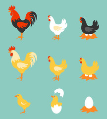 Colorful farm birds collection.