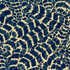texture of print fabric striped feathers