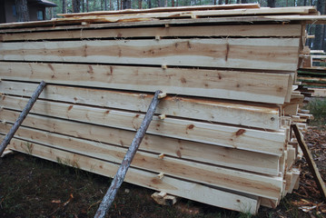Wooden raw planks, folded for drying in the forest. 