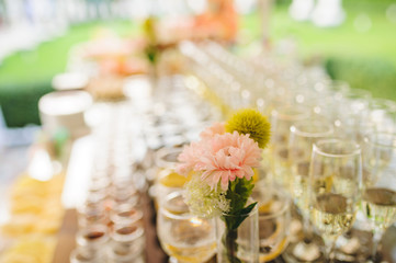 Flowers on Table with Glasses