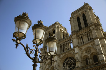 Fototapeta na wymiar In front of Notre Dame, Paris
