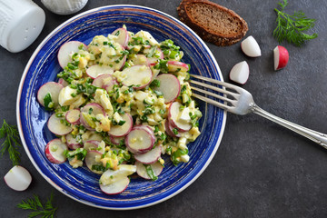 salad with radish, egg and wild garlic
