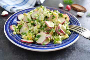 salad with radish, egg and wild garlic