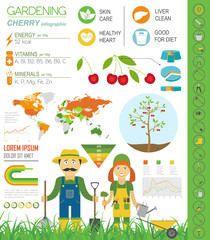 Gardening work, farming infographic. Cherry. Graphic template. F