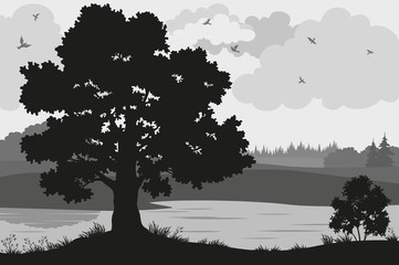 Evening Forest Landscape, Oak Trees, Bushes and Grass on the River Bank and Birds in the Cloudy Sky, Black and Grey Silhouettes on White Background. Vector