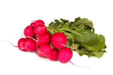 Bunch of radish isolated on white background