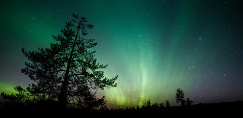 A beautiful green and red aurora dancing - 106888989