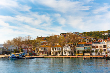 Obraz premium luxury and elegant wooden mansion houses in island