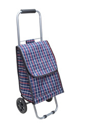 Shopping trolley bag