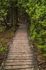 Obraz premium Scenic Pathway Outdoors