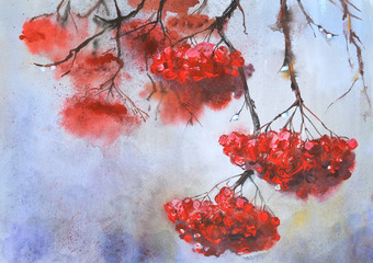 Branch of Rowan in rainy weather.Watercolor hand drawn illustration.