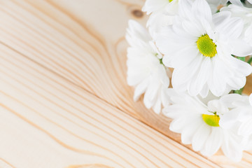 white chrysanthemum on a wooden background