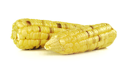 corns isolated on the white background