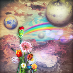 Rainbow in the sunrise with colorful flowers © Rosario Rizzo