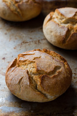 bread bun on steel plate