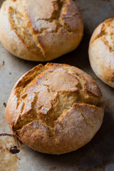 bread bun on steel plate