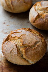 bread bun on steel plate