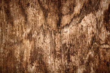 Old wood texture
