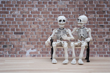 skeleton chat
