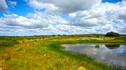 Paisaje de Extremadura en primavera, provincia de Cáceres cerca de Aldea del Cano, España