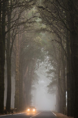 Obraz premium Car drive through clouds