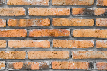 Fototapeta premium Red brick wall