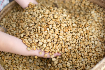 Dry coffee bean