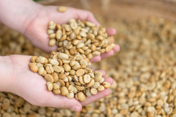 Dry coffee bean