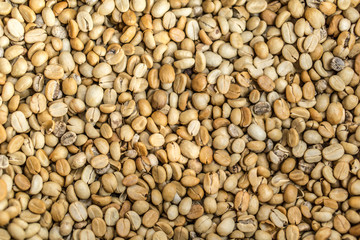 Dry coffee bean