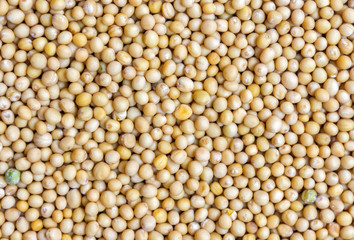Mustard seeds background